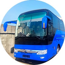 Автобусы на 50 мест